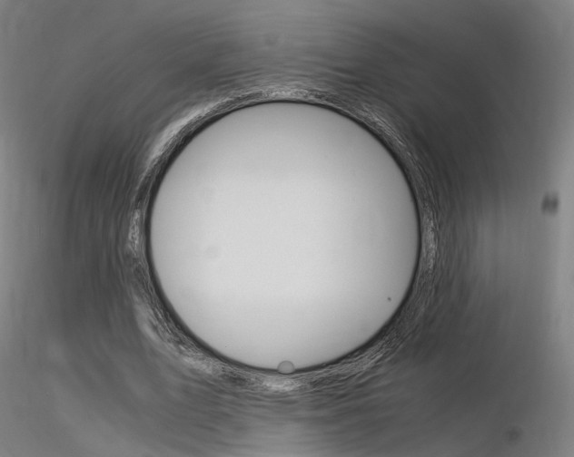 X0000116370583200912021012