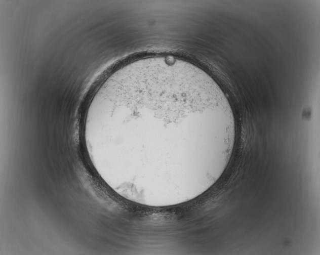 X0000116370584200912021012