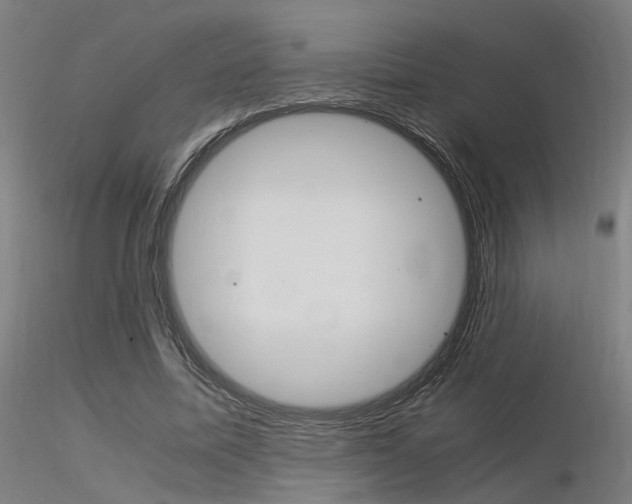 X0000116370587200912021011
