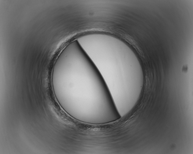 X0000116370588200912021011