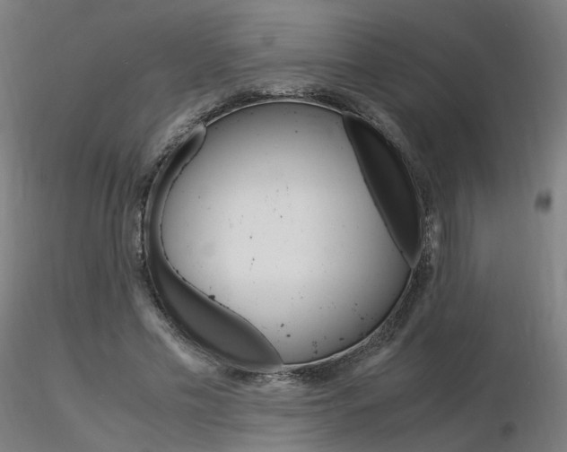 X0000116370589200912021011