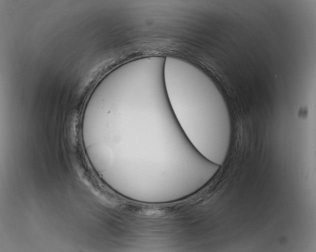 X0000116370590200912021011