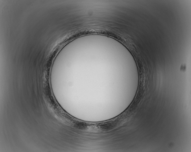 X0000116370591200912021011