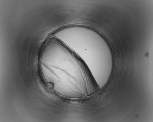 X0000116370592200912021011