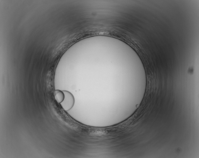 X0000116370594200912021011