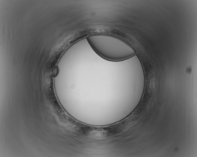 X0000116370595200912021011