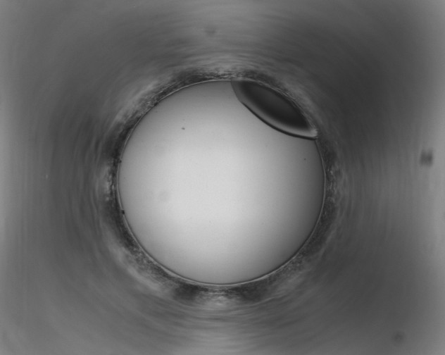 X0000116370597200912021011