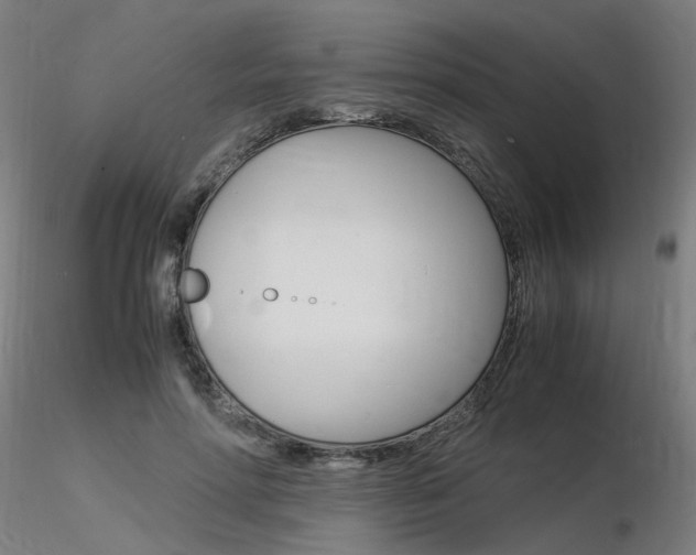 X0000116370598200912021011