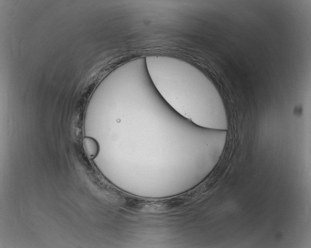 X0000116370599200912021011