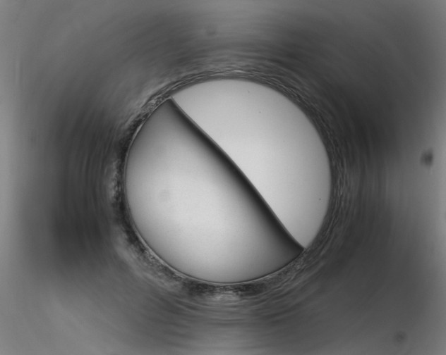 X0000116370600200912021011