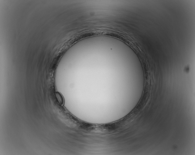X0000116370601200912021011