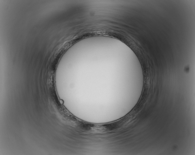 X0000116370603200912021011