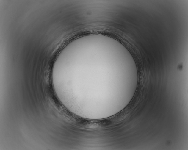 X0000116370604200912021011