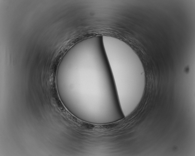 X0000116370608200912021011