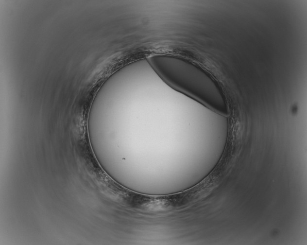 X0000116370609200912021011