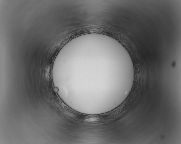 X0000116370610200912021011