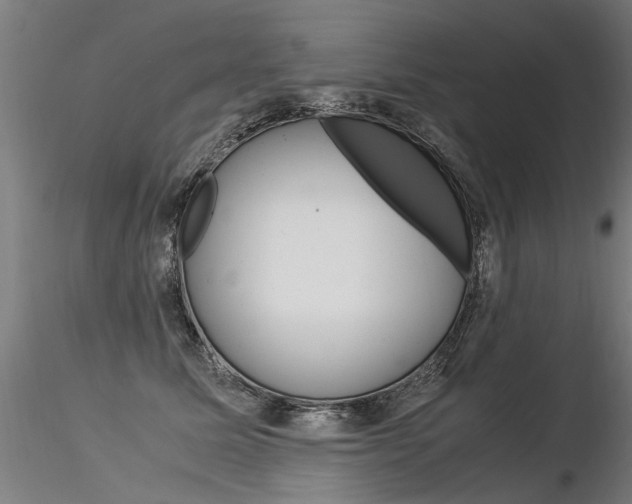 X0000116370611200912021011