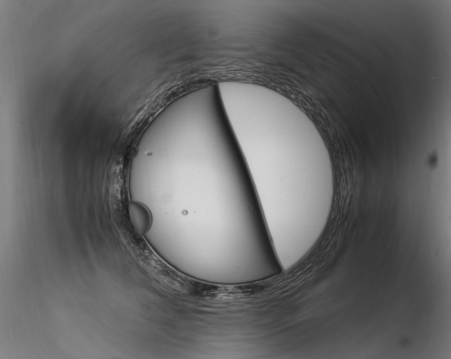 X0000116370612200912021011