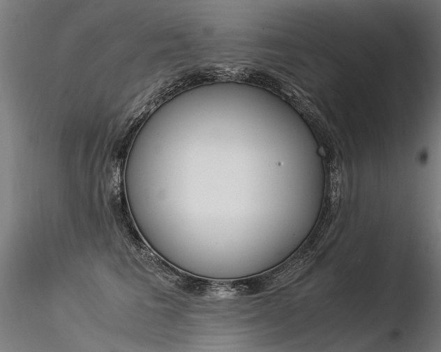 X0000116370613200912021011