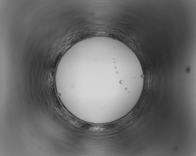 X0000116370614200912021011