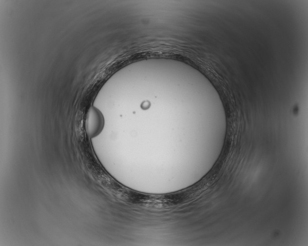 X0000116370615200912021011