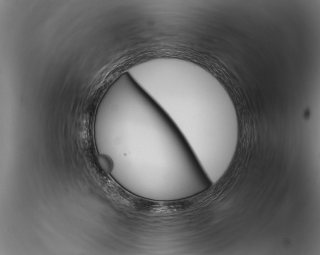 X0000116370616200912021011