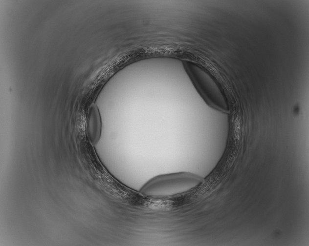 X0000116370617200912021011