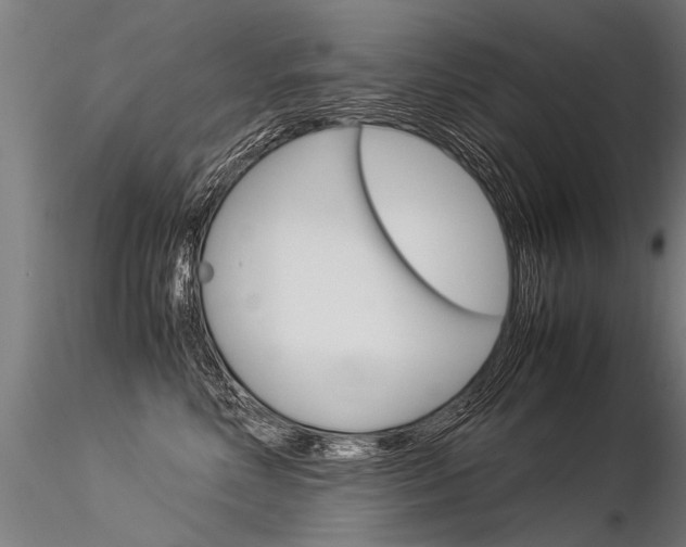 X0000116370618200912021011