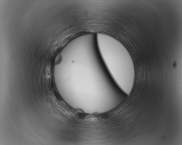 X0000116370620200912021011