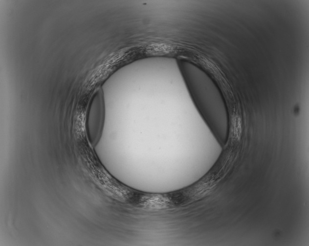X0000116370621200912021011