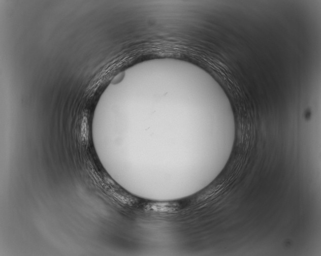 X0000116370622200912021011
