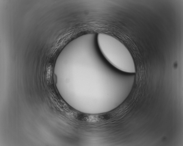X0000116370623200912021011