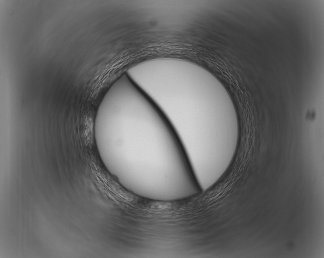 X0000116370624200912021011