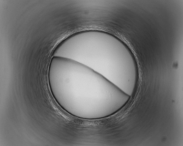 X0000116370625200912021010