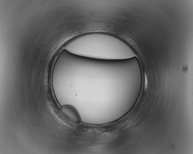 X0000116370627200912021010