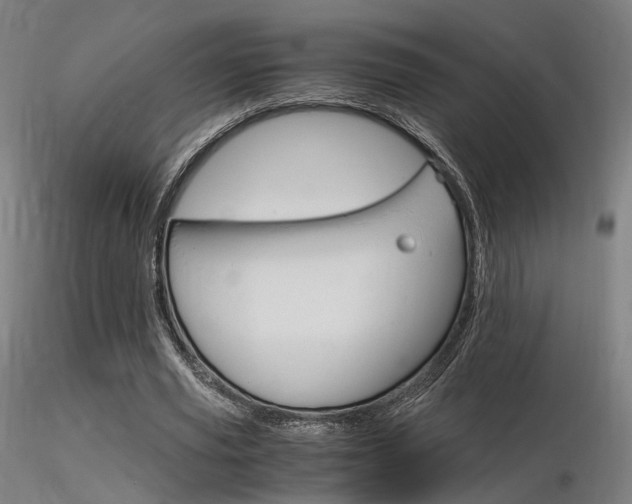 X0000116370629200912021010
