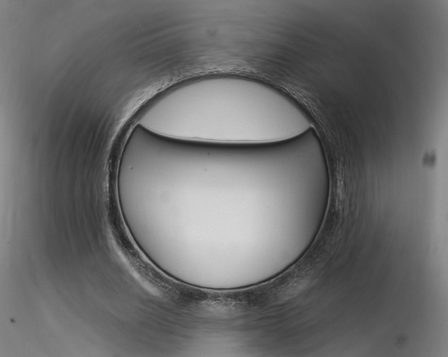 X0000116370630200912021010