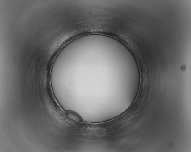X0000116370631200912021010