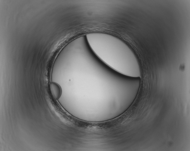 X0000116370634200912021010