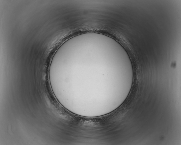 X0000116370635200912021010