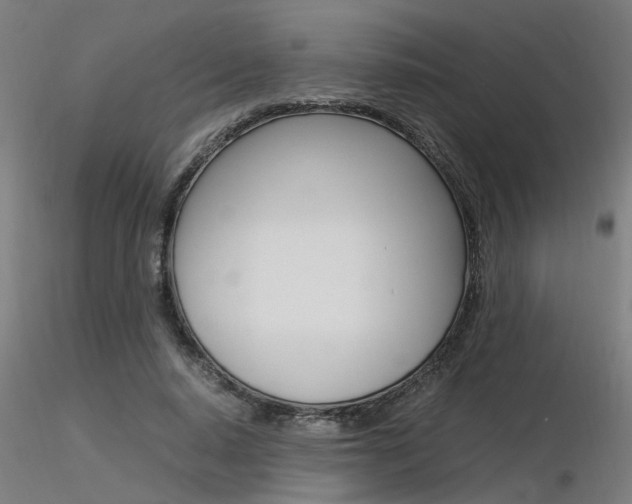 X0000116370640200912021010