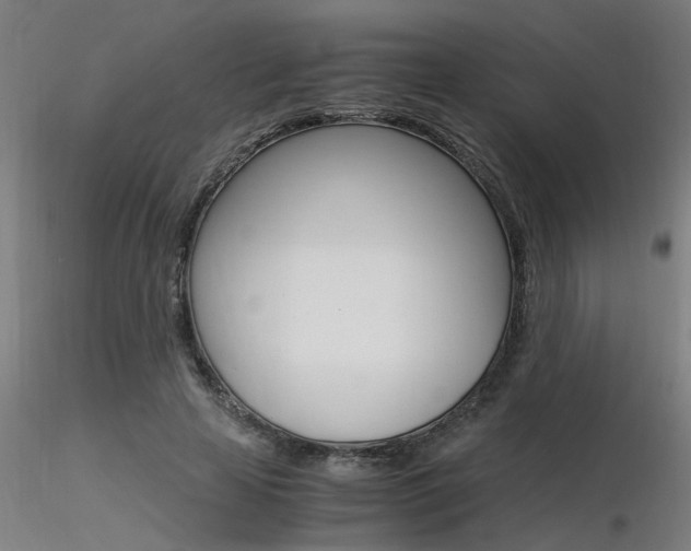 X0000116370641200912021010