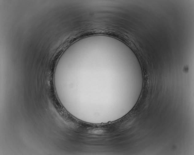 X0000116370643200912021010