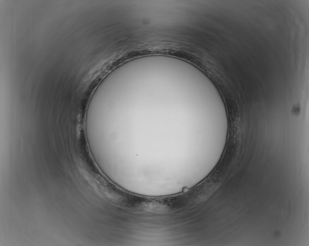 X0000116370644200912021010