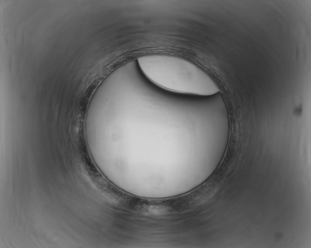 X0000116370645200912021010