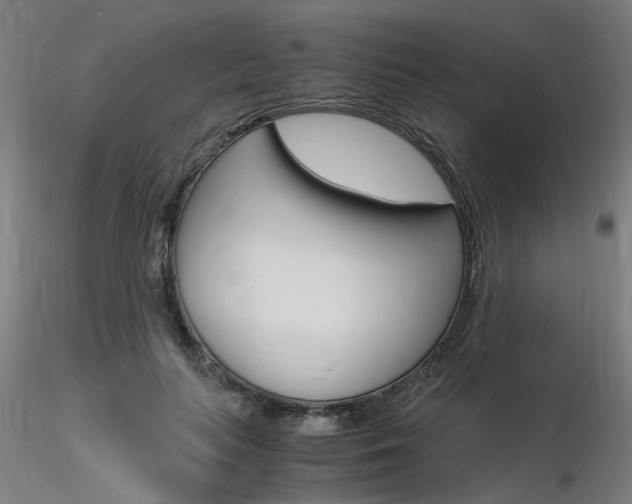 X0000116370647200912021010