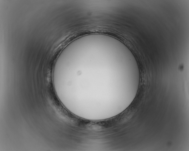 X0000116370648200912021010