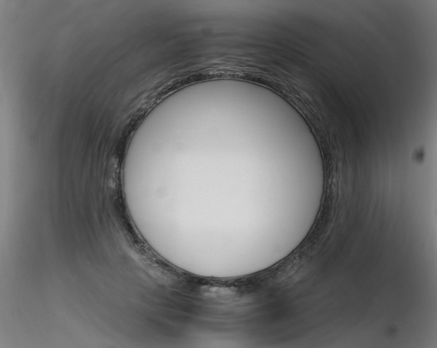 X0000116370649200912021010