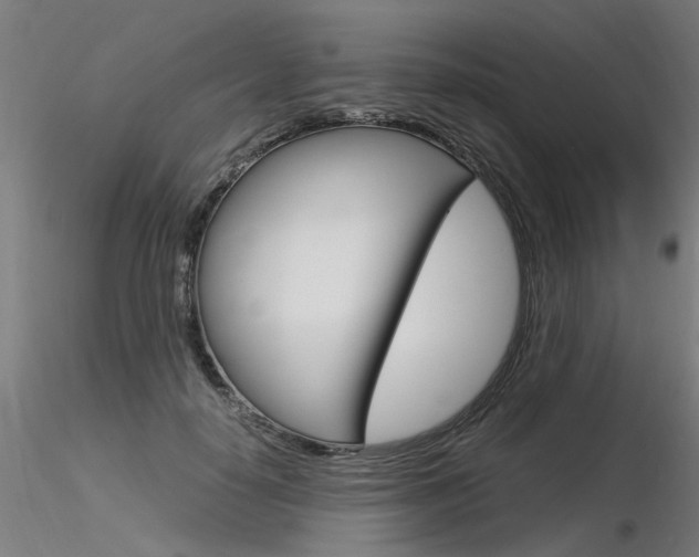 X0000116370650200912021010