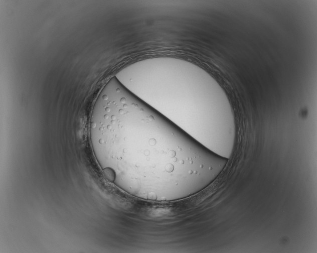 X0000116370651200912021010